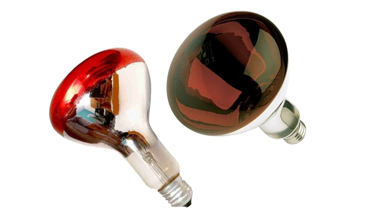 Infrared Light Bulb: सर्दियों में ये बल्ब अपनी रोशनी से करता है कमरा गर्म, जानिए कीमत