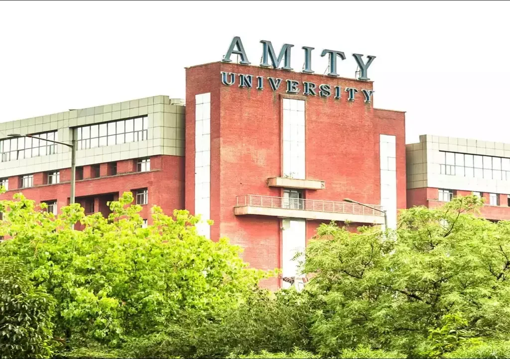 Top 7 Indian Universities Offering Online Degrees, amity, online degrees, degree